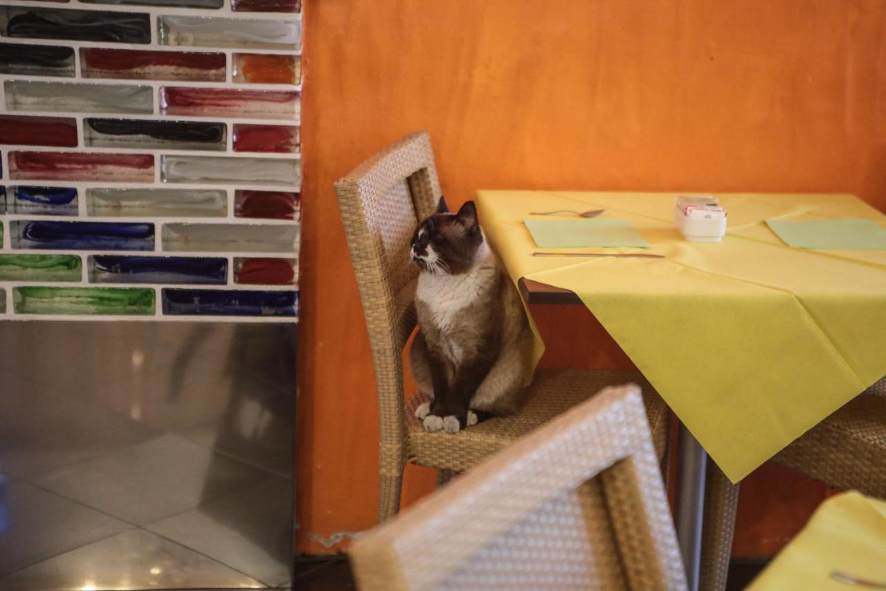 I Colori Hotel